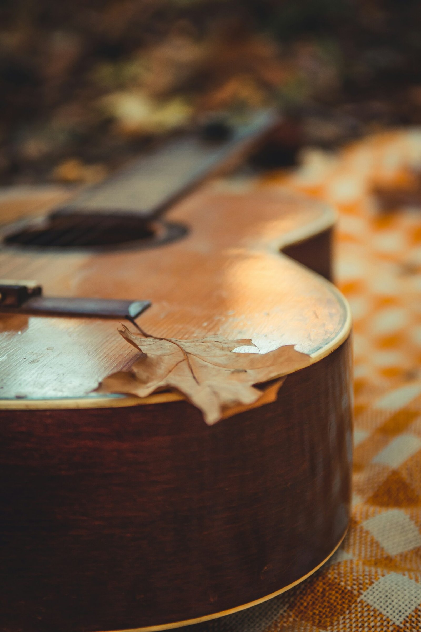 andriyko podilnyk 7m5r5qaqi88 unsplash